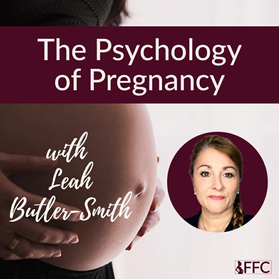 The Psychology of Pregnancy